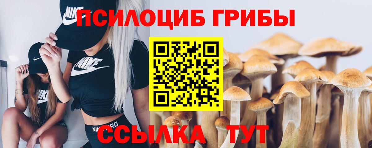 Реж  Галлюциногенные грибы мухоморы  Вход с VPN  Галлюциногенные грибы мицелий 